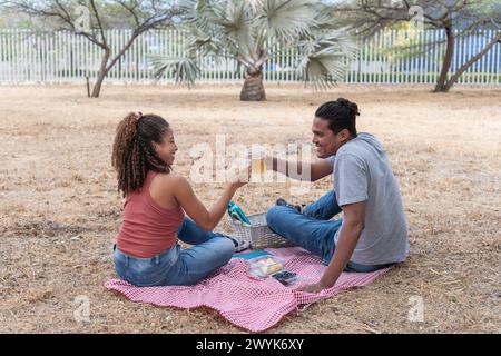 Ein junges Paar, das auf einer Picknickdecke trinkt. Stockfoto