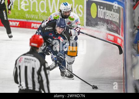 Straubing, Deutschland. April 2024. Eishockey: DEL, Straubing Tigers - Eisbären Berlin, Meisterschaftsrunde, Halbfinale, Spieltag 4, Eisstadion am Pulverturm. Joshua Samanski von den Straubing Tigers (l) und Julian Melchiori von den Eisbären Berlin kämpfen um den Puck. Quelle: Armin Weigel/dpa/Alamy Live News Stockfoto