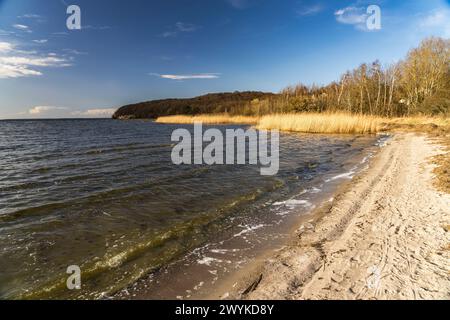 Der Strand von Lietzow am Großen Jasmunder Bodden, Insel Rügen, Mecklenburg-Vorpommern, Deutschland | Lietzow Beach at großer Jasmunder Bodden, Rue Stockfoto