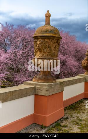 Barocke Urne mit Blick auf die Kirschblüten im Schloss Troja Stockfoto