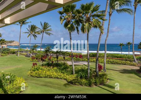 Blick durch die üppigen Palmen und gepflegten Gärten am Shipwreck Beach in Koloa, Hawaii, USA Stockfoto