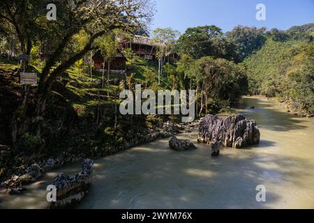 Türkisfarbene Pools in natürlichen Karstformationen bilden ein perfektes Schwimmloch in Semuc Champey in der Nähe von Lanquin in Guatemala. Stockfoto