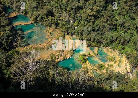 Türkisfarbene Pools in natürlichen Karstformationen bilden ein perfektes Schwimmloch in Semuc Champey in der Nähe von Lanquin in Guatemala. Stockfoto