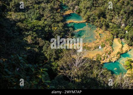 Türkisfarbene Pools in natürlichen Karstformationen bilden ein perfektes Schwimmloch in Semuc Champey in der Nähe von Lanquin in Guatemala. Stockfoto