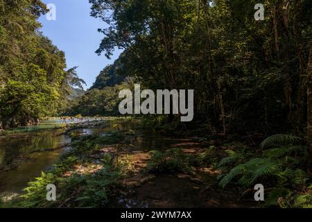 Türkisfarbene Pools in natürlichen Karstformationen bilden ein perfektes Schwimmloch in Semuc Champey in der Nähe von Lanquin in Guatemala. Stockfoto