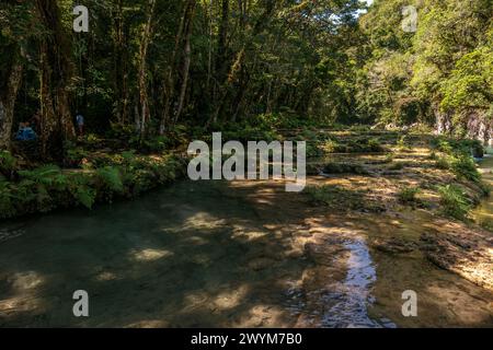 Türkisfarbene Pools in natürlichen Karstformationen bilden ein perfektes Schwimmloch in Semuc Champey in der Nähe von Lanquin in Guatemala. Stockfoto