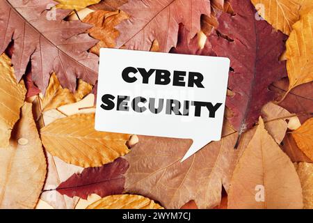 Ein weißes Schild mit der Aufschrift Cybersecurity wird auf einem Haufen Herbstlaub platziert Stockfoto