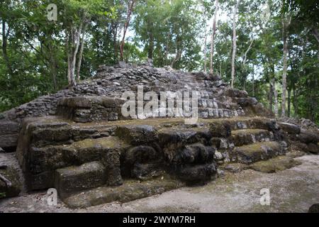 Im El Mirador Basin im Dschungel von Nord-Guatemala Stockfoto