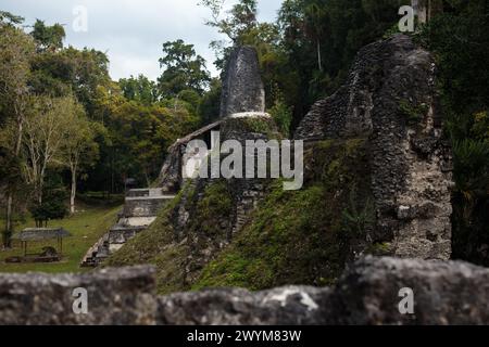 Pyramiden und Ruinen in der Maya-Stadt Tikal im Dschungel von Nord-Guatemala im Bezirk Peten. Eine beliebte touristische und historische Attraktion Stockfoto