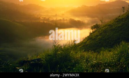 Goldener Sonnenaufgang Über Misty Valley, Der Sich Durch Üppige Grüne Hügel Schlängelt Stockfoto