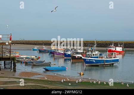 Fliegende Möwen, Boote, Bootshafen, Folkestone, Kent, England, Großbritannien Stockfoto