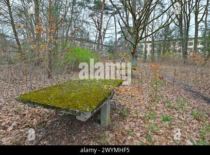 Wandlitz, Deutschland. März 2024. Bogensee. Der Bogensee nördlich Berlins umfasst das ehemalige Wilhelm-Pieck-FDJ-Gymnasium und die Villa des Reichspropagandaministers Joseph Goebbels. Der Aufsichtsrat des Berliner Immobilienmanagements (BIM) plant im April 2024 einen Beschluss über den Abriss des Bogensees. Quelle: Patrick Pleul/dpa/Alamy Live News Stockfoto