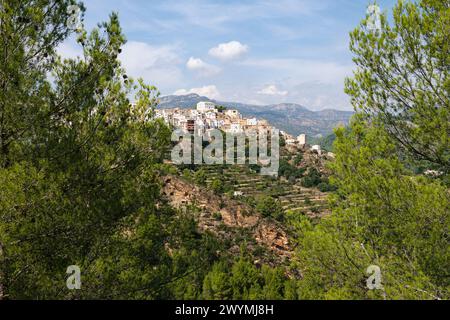 Zwischen den Bäumen ein Blick auf das Dorf Lucena del Cid umgeben von der Natur an einem Tag mit blauem Himmel und Wolken, Castellon, Spanien Stockfoto