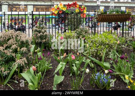 Macy's Flagship Department Store Fassade ist für ihre jährliche Frühlingsblumenshow in New York City, USA 2024 dekoriert Stockfoto