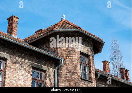 Auschwitz, Polen, 21. März 2024 - Wachposten im Konzentrationslager Stockfoto