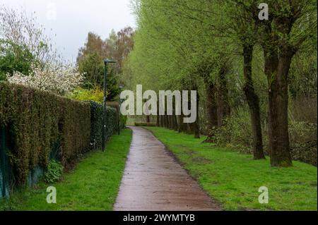 Radweg durch Wiesen und Bäume im Regen rund um Wezembeek-Oppem, Belgien Stockfoto