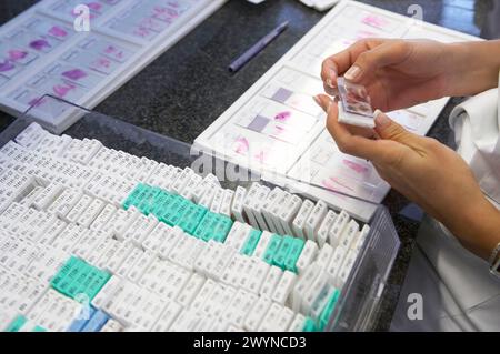 Gewebeproben, pathologische Anatomie. Krankenhaus Universitario Gran Canaria Arzt Negrin, Las Palmas de Gran Canaria. Kanarische Inseln, Spanien. Stockfoto