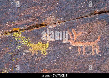 Sinagua-Indische Petroglyphen (1150-1400 n. Chr.). V-Bar-V Ranch Kulturerbe. Rimrock, Arizona, von Dominique Braud/Dembinsky Photo Assoc Stockfoto