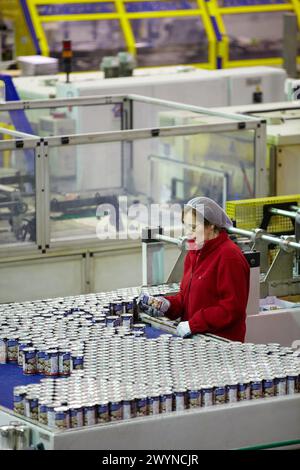 Etikettierung und Verpackung von Gemüse, Pilzen, Konservenindustrie, Agrar- und Lebensmittelindustrie, Logistikzentrum, Grupo Riberebro, Alfaro, La Rioja, Spanien. Stockfoto