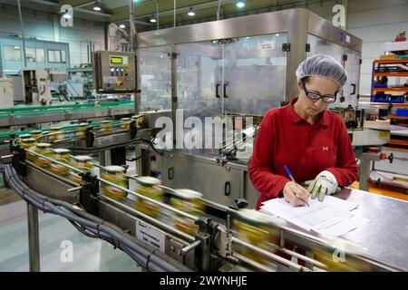 Etikettierung und Verpackung von Gemüse aus Konserven, grüne Bohnen, Konservenindustrie, Agrar- und Lebensmittelindustrie, Logistikzentrum, Grupo Riberebro, Alfaro, La Rioja, Spanien. Stockfoto