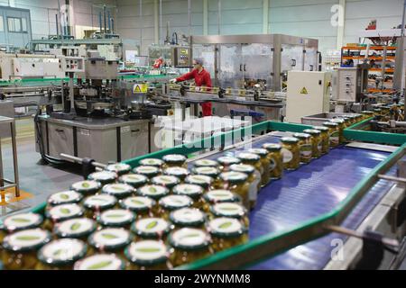 Etikettierung und Verpackung von Gemüse aus Konserven, grüne Bohnen, Konservenindustrie, Agrar- und Lebensmittelindustrie, Logistikzentrum, Grupo Riberebro, Alfaro, La Rioja, Spanien. Stockfoto