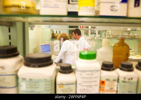 Analyse des Kartoffelvirus. Anwendung der ELISA-Technik (Enzym-linked Immunosorbent Assay). Neiker Tecnalia, Instituto de Investigación y Desarrollo Agrario, Ganadero, Forestal y del Medio Natural, Arkaute, Alava, Euskadi, Spanien. Stockfoto