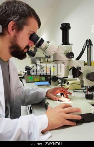 Lupe. Analyse der Fehlerursachen von Komponenten und Systemen. Technologische Dienstleistungen für die Industrie. Tecnalia Research & Innovation, Donostia, San Sebastian, Gipuzkoa, Baskenland, Spanien. Stockfoto