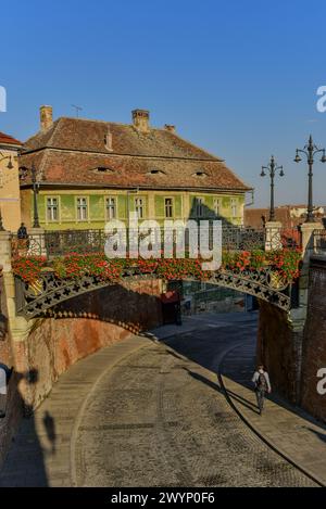 Blumen baden in der Morgensonne auf der Brücke der Lügen, einer legendären gusseisernen Brücke, die 1860 in Sibiu fertiggestellt wurde, zuerst in Rumänien. Stockfoto