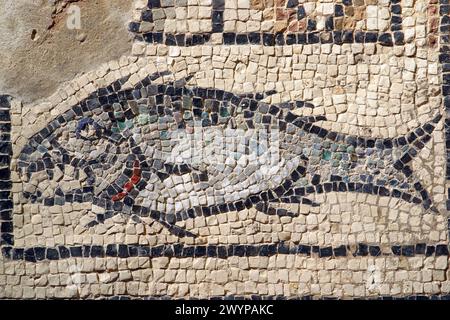 Fisch, christliches Symbol, Mosaik in der Euphrasianischen Basilika in Porec, Kroatien Stockfoto