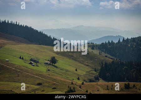 Berghänge in den ukrainischen Karpaten. Berggipfel und Wälder vor dem Hintergrund des blauen Himmels. Stockfoto