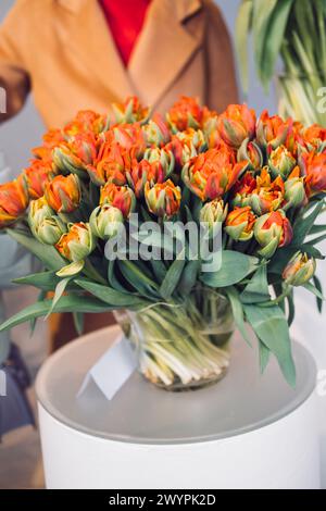 Bunte Papageientulpen in voller Blüte auf dem Display Stockfoto