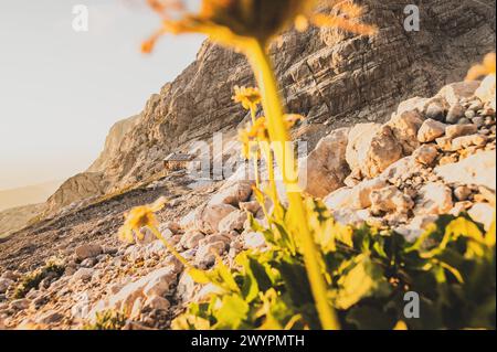 Wanderung den Gosauseen zur Adamekhütte am Fuße des Dachsteinsteingletscher, Oberösterreich, Österreich. Im Bild: Die Adamekhütte am 08.08.2020. // Wanderung durch den Gosausee zur Adamekhütte am Fuße des Dachsteingletschers, Oberösterreich, Österreich. Im Bild: Die Adamekhütte 8. August 2020. - 20200808 PD13567 Credit: APA-PictureDesk/Alamy Live News Stockfoto