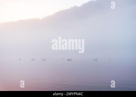 Morgenstimmung mit Nebel am Almsee im Almtal im Salzkammergut, Oberösterreich, Österreich am 14.08.2020. // Morgenstimmung mit Nebel am Almsee im Almtal im Salzkammergut, Oberösterreich, Österreich am 14. August 2020. - 20200813 PD13635 Credit: APA-PictureDesk/Alamy Live News Stockfoto