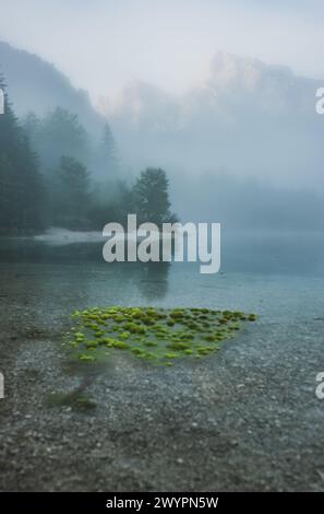 Morgenstimmung mit Nebel am Almsee im Almtal im Salzkammergut, Oberösterreich, Österreich am 14.08.2020. // Morgenstimmung mit Nebel am Almsee im Almtal im Salzkammergut, Oberösterreich, Österreich am 14. August 2020. - 20200813 PD13631 Credit: APA-PictureDesk/Alamy Live News Stockfoto