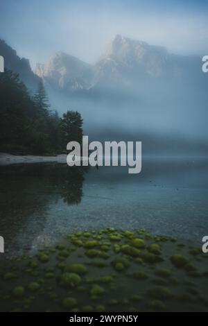 Morgenstimmung mit Nebel am Almsee im Almtal im Salzkammergut, Oberösterreich, Österreich am 14.08.2020. // Morgenstimmung mit Nebel am Almsee im Almtal im Salzkammergut, Oberösterreich, Österreich am 14. August 2020. - 20200813 PD13630 Credit: APA-PictureDesk/Alamy Live News Stockfoto