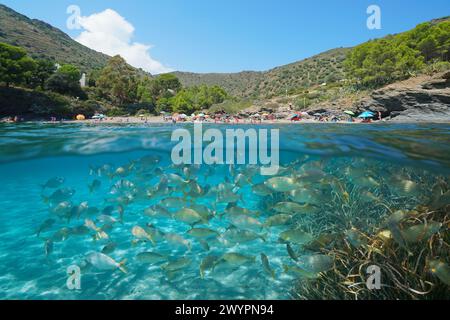 Mittelmeer Meer Strand Küste mit Touristen in Spanien und Fisch unter Wasser, natürliche Szene, geteilte Sicht über und unter Wasser, Costa Brava Stockfoto