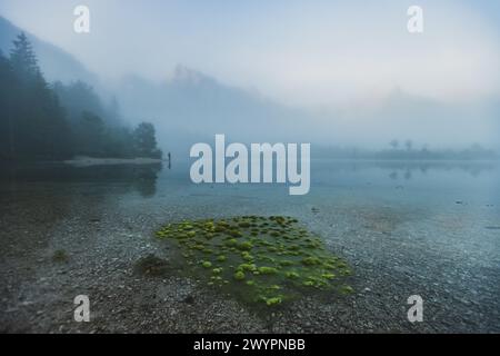 Morgenstimmung mit Nebel am Almsee im Almtal im Salzkammergut, Oberösterreich, Österreich am 14.08.2020. // Morgenstimmung mit Nebel am Almsee im Almtal im Salzkammergut, Oberösterreich, Österreich am 14. August 2020. - 20200813 PD13627 Credit: APA-PictureDesk/Alamy Live News Stockfoto