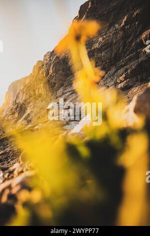 Wanderung den Gosauseen zur Adamekhütte am Fuße des Dachsteinsteingletscher, Oberösterreich, Österreich. Im Bild: Die Adamekhütte am 08.08.2020. // Wanderung durch den Gosausee zur Adamekhütte am Fuße des Dachsteingletschers, Oberösterreich, Österreich. Im Bild: Die Adamekhütte 8. August 2020. - 20200808 PD13569 Credit: APA-PictureDesk/Alamy Live News Stockfoto