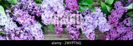 Frischer Fliederblumenrahmen über hölzernem Hintergrund mit Kopierraum, flache Blumenkomposition Stockfoto