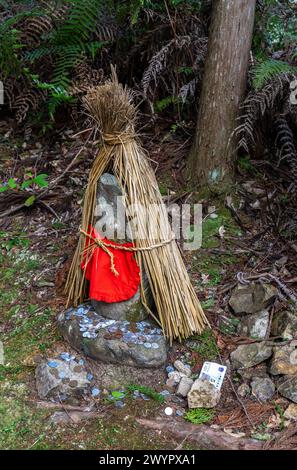 Besucher und Ausblicke entlang der antiken Pilgerroute Kumano Kodo in der Nähe von Hongu, Japan Stockfoto