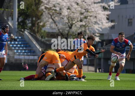 Shinobu Fujiwara von Kubota Spears 2023-24 im Prince Chichibu Memorial Stadium in Tokio, Japan, am 7. April 2024, im Japan Rugby League One Spiel zwischen Kubota Spears Funabashi Tokyo-Bay und Toshiba Brave Lupus Tokyo. Quelle: AFLO/Alamy Live News Stockfoto