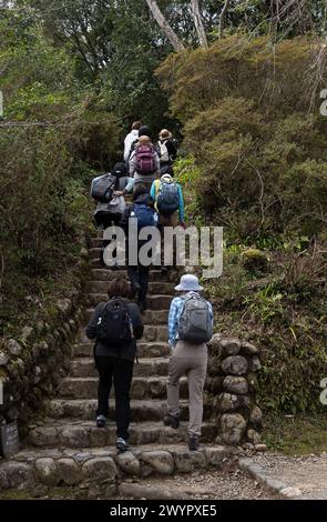 Besucher und Ausblicke entlang der antiken Pilgerroute Kumano Kodo in der Nähe von Hongu, Japan Stockfoto
