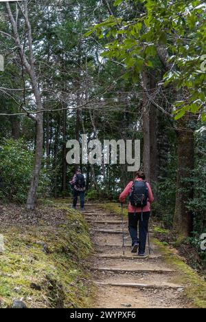 Besucher und Ausblicke entlang der antiken Pilgerroute Kumano Kodo in der Nähe von Hongu, Japan Stockfoto