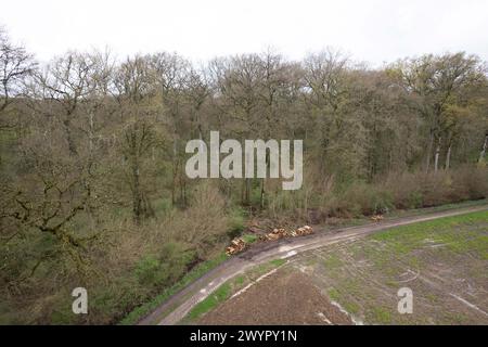 Esmoulins, Frankreich. März 2024. Blick auf den Wald bei Esmoulins, wo Alexia Fouillot Daval tot aufgefunden wurde, nachdem sie 2017 von ihrem Mann Jonathann Daval ermordet wurde. Atmosphere 7 Jahre nach dem Mord an Alexia Daval, vor einem neuen Prozess gegen Jonathann Daval wegen Verleumdung, initiiert von den Eltern von Alexia, Jean-Pierre und Isabelle Fouillot. März 2024. Foto: Raphael Lafargue/ABACAPRESS.COM Credit: Abaca Press/Alamy Live News Stockfoto