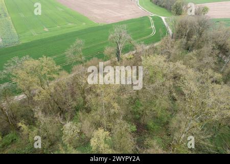 Esmoulins, Frankreich. März 2024. Blick auf den Wald bei Esmoulins, wo Alexia Fouillot Daval tot aufgefunden wurde, nachdem sie 2017 von ihrem Mann Jonathann Daval ermordet wurde. Atmosphere 7 Jahre nach dem Mord an Alexia Daval, vor einem neuen Prozess gegen Jonathann Daval wegen Verleumdung, initiiert von den Eltern von Alexia, Jean-Pierre und Isabelle Fouillot. März 2024. Foto: Raphael Lafargue/ABACAPRESS.COM Credit: Abaca Press/Alamy Live News Stockfoto