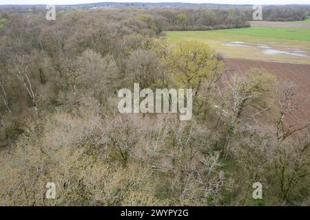 Esmoulins, Frankreich. März 2024. Blick auf den Wald bei Esmoulins, wo Alexia Fouillot Daval tot aufgefunden wurde, nachdem sie 2017 von ihrem Mann Jonathann Daval ermordet wurde. Atmosphere 7 Jahre nach dem Mord an Alexia Daval, vor einem neuen Prozess gegen Jonathann Daval wegen Verleumdung, initiiert von den Eltern von Alexia, Jean-Pierre und Isabelle Fouillot. März 2024. Foto: Raphael Lafargue/ABACAPRESS.COM Credit: Abaca Press/Alamy Live News Stockfoto