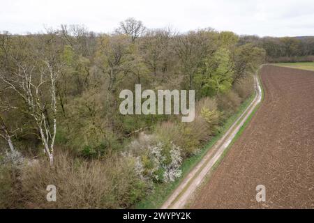 Esmoulins, Frankreich. März 2024. Blick auf den Wald bei Esmoulins, wo Alexia Fouillot Daval tot aufgefunden wurde, nachdem sie 2017 von ihrem Mann Jonathann Daval ermordet wurde. Atmosphere 7 Jahre nach dem Mord an Alexia Daval, vor einem neuen Prozess gegen Jonathann Daval wegen Verleumdung, initiiert von den Eltern von Alexia, Jean-Pierre und Isabelle Fouillot. März 2024. Foto: Raphael Lafargue/ABACAPRESS.COM Credit: Abaca Press/Alamy Live News Stockfoto