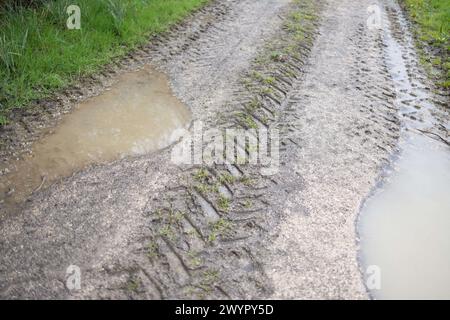 Esmoulins, Frankreich. März 2024. Blick auf den Wald bei Esmoulins, wo Alexia Fouillot Daval tot aufgefunden wurde, nachdem sie 2017 von ihrem Mann Jonathann Daval ermordet wurde. Atmosphere 7 Jahre nach dem Mord an Alexia Daval, vor einem neuen Prozess gegen Jonathann Daval wegen Verleumdung, initiiert von den Eltern von Alexia, Jean-Pierre und Isabelle Fouillot. März 2024. Foto: Raphael Lafargue/ABACAPRESS.COM Credit: Abaca Press/Alamy Live News Stockfoto