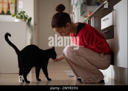 Frau, die schwarze Katze mit Hand in der Küche füttert Stockfoto