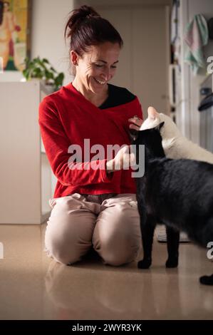 Lächelnde Frau füttert liebenswerte Katzen zu Hause Stockfoto